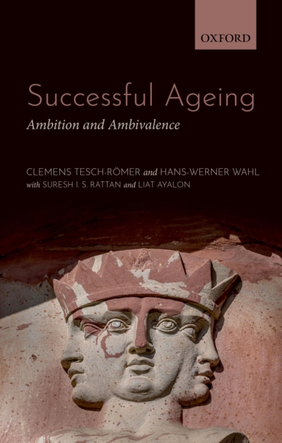 Successful Ageing : Ambition and Ambivalence, EPUB eBook