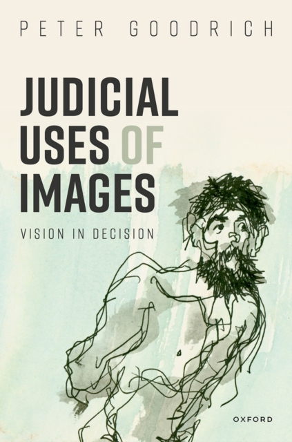 Judicial Uses of Images : Vision in Decision, EPUB eBook