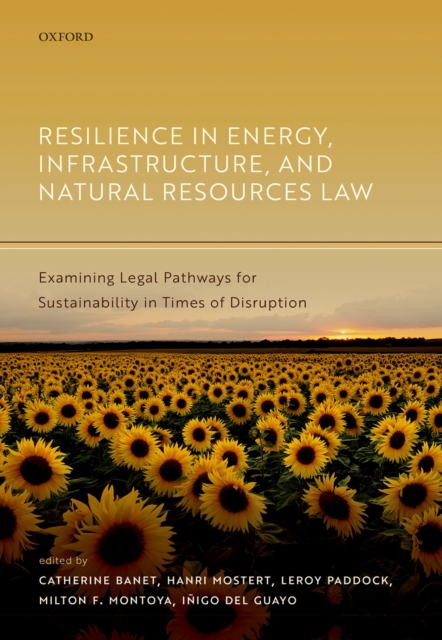 Resilience in Energy, Infrastructure, and Natural Resources Law : Examining Legal Pathways for Sustainability in Times of Disruption, EPUB eBook