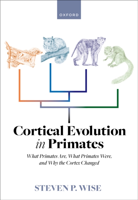 Cortical Evolution in Primates : What Primates Are, What Primates Were, and Why the Cortex Changed, PDF eBook