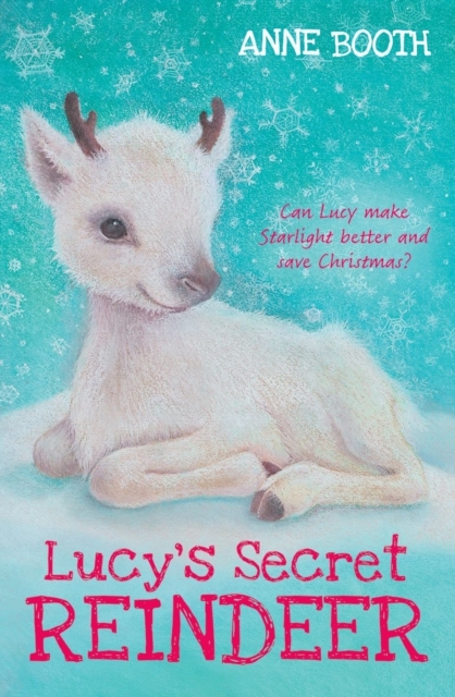Lucy's Secret Reindeer, Paperback / softback Book
