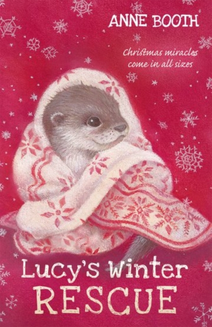Lucy's Winter Rescue, Paperback / softback Book