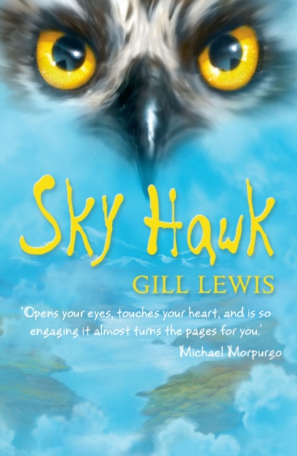 Sky Hawk, Paperback / softback Book