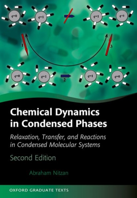 Chemical Dynamics in Condensed Phases : Relaxation, Transfer, and Reactions in Condensed Molecular Systems, Hardback Book