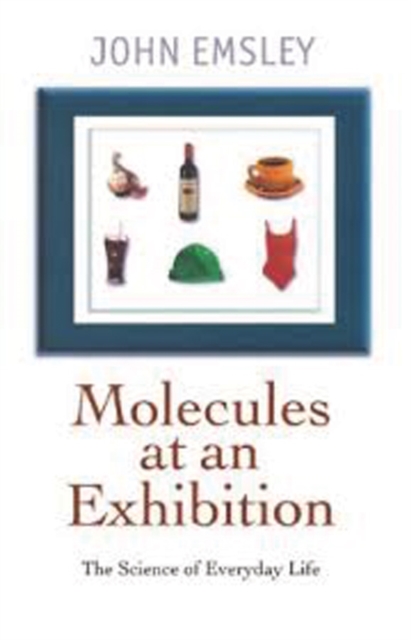 Molecules at an Exhibition : Portraits of Intriguing Materials in Everyday Life, Paperback / softback Book