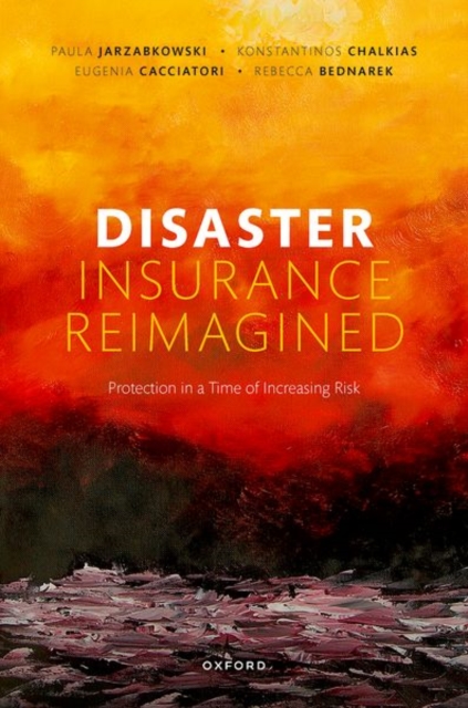 Disaster Insurance Reimagined : Protection in a Time of Increasing Risk, Hardback Book