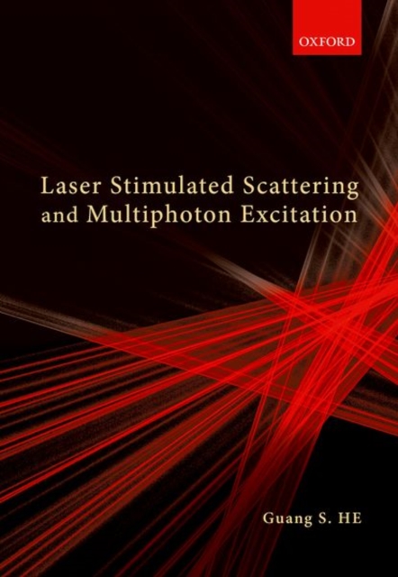 Laser Stimulated Scattering and Multiphoton Excitation, Hardback Book