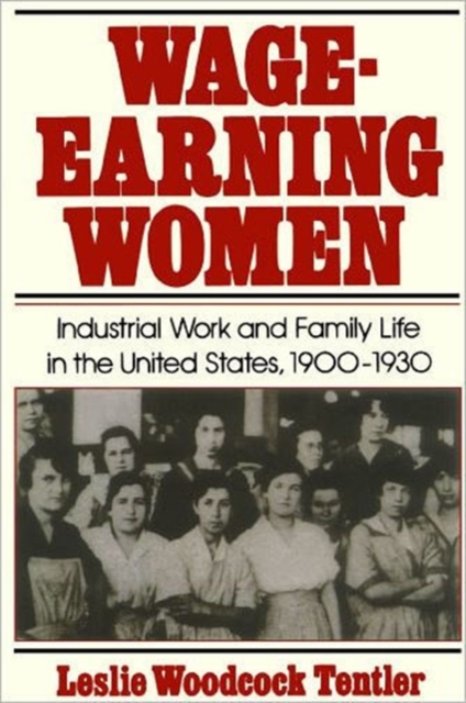 Wage-Earning Women : Industrial Work and Family Life in the United States, 1900-1930, Paperback / softback Book