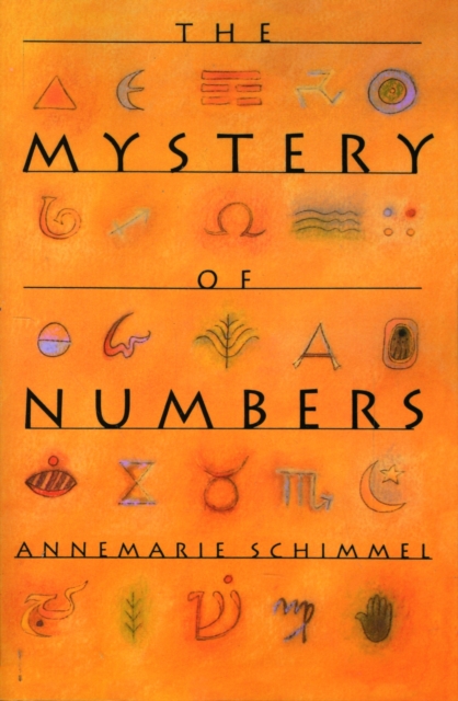 The Mystery of Numbers, Paperback / softback Book