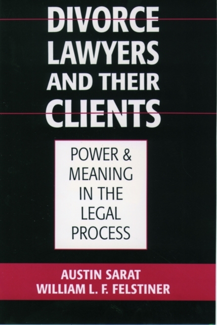 Divorce Lawyers and Their Clients : Power and Meaning in the Legal Process, Paperback / softback Book
