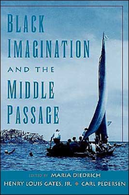 Black Imagination and the Middle Passage, Hardback Book