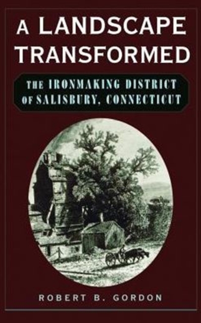 A Landscape Transformed : The Ironmaking District of Salisbury, Connecticut, Hardback Book