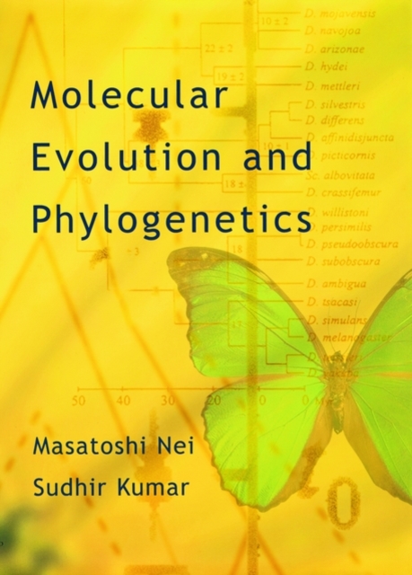 Molecular Evolution and Phylogenetics, Paperback / softback Book