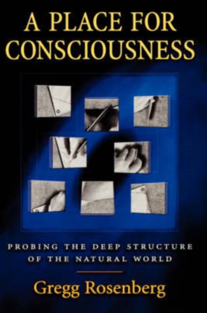 A Place for Consciousness : Probing the Deep Structure of the Natural World, Hardback Book