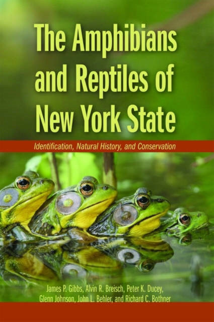 The Amphibians and Reptiles of New York State : Identification, Natural History, and Conservation, Paperback / softback Book