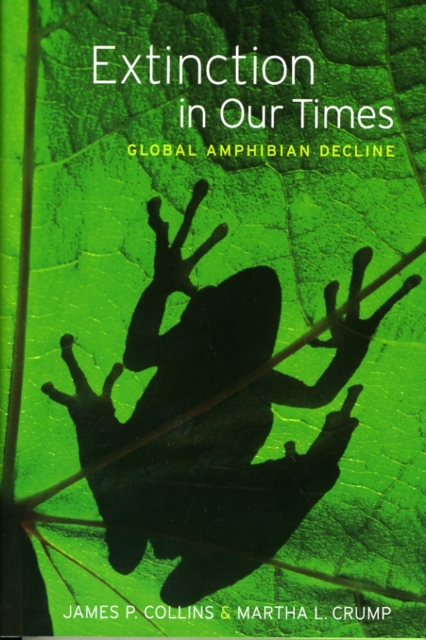 Extinction in Our Times : Global Amphibian Decline, Hardback Book