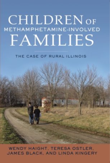 Children of Methamphetamine-Involved Families, Hardback Book