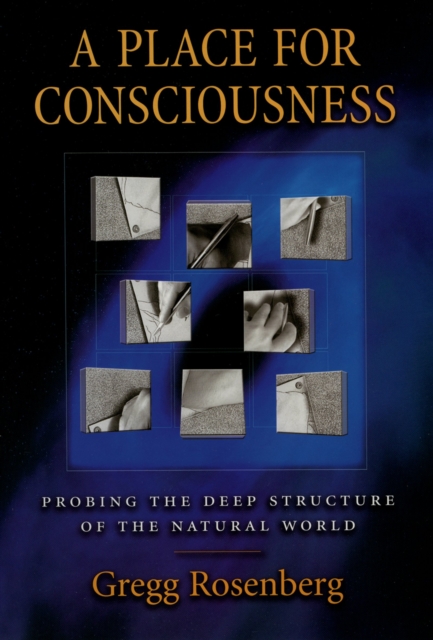 A Place for Consciousness : Probing the Deep Structure of the Natural World, PDF eBook