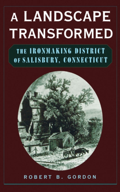 A Landscape Transformed : The Ironmaking District of Salisbury, Connecticut, PDF eBook