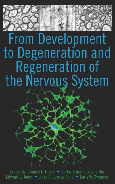 From Development to Degeneration and Regeneration of the Nervous System, Hardback Book