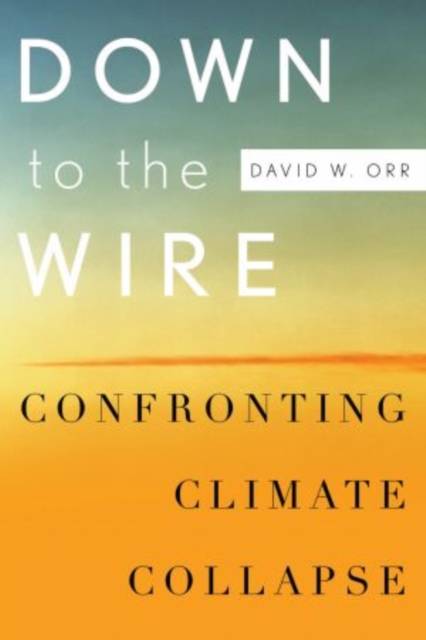 Down to the Wire : Confronting Climate Collapse, Hardback Book