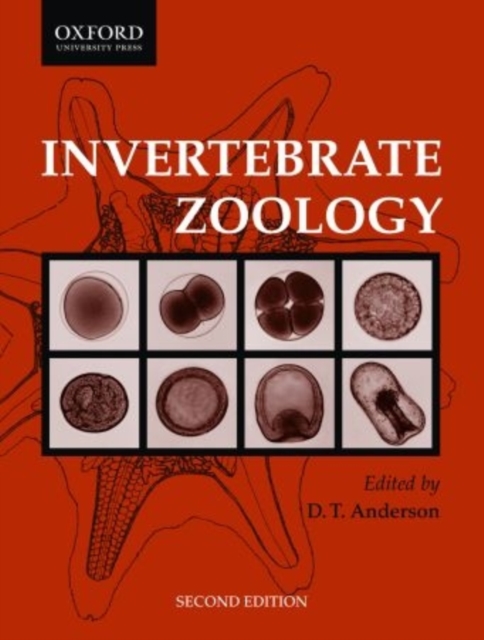 Invertebrate Zoology, Paperback / softback Book