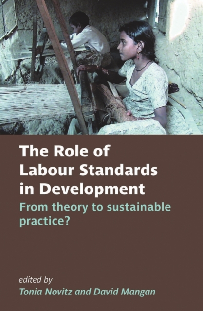 The Role of Labour Standards in Development : From theory to sustainable practice, Paperback / softback Book