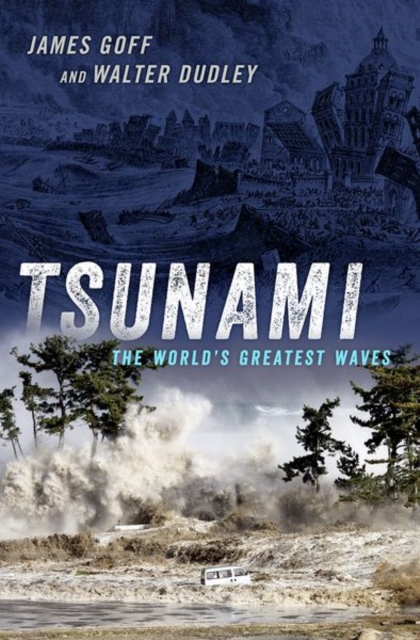 Tsunami : The World's Greatest Waves, Hardback Book