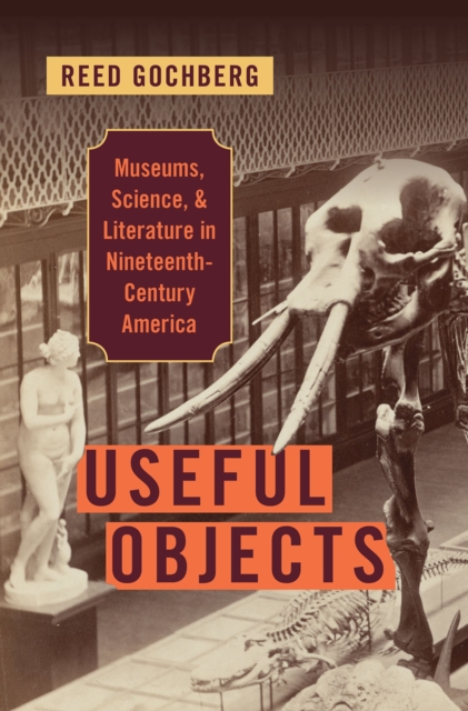 Useful Objects : Museums, Science, and Literature in Nineteenth-Century America, PDF eBook