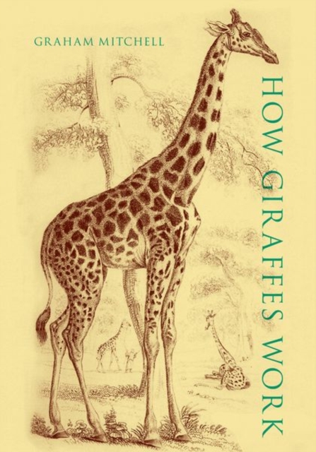 How Giraffes Work, Hardback Book