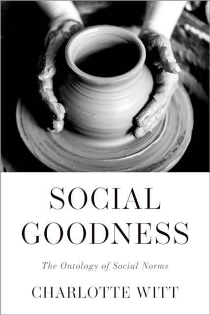 Social Goodness : The Ontology of Social Norms, PDF eBook