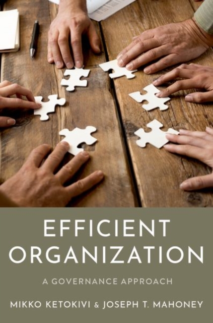 Efficient Organization : A Governance Approach, Hardback Book