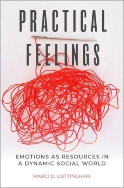 Practical Feelings : Emotions as Resources in a Dynamic Social World, Hardback Book