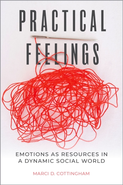 Practical Feelings : Emotions as Resources in a Dynamic Social World, PDF eBook