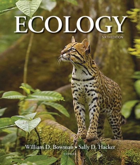 Ecology, Paperback / softback Book