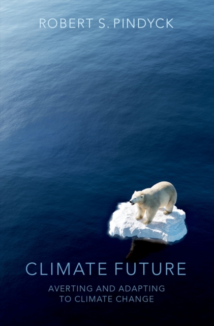 Climate Future : Averting and Adapting to Climate Change, PDF eBook