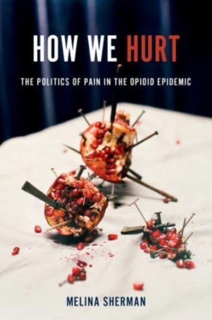 How We Hurt : The Politics of Pain in the Opioid Epidemic, Hardback Book