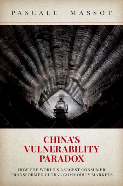 China's Vulnerability Paradox : How the World's Largest Consumer Transformed Global Commodity Markets, PDF eBook