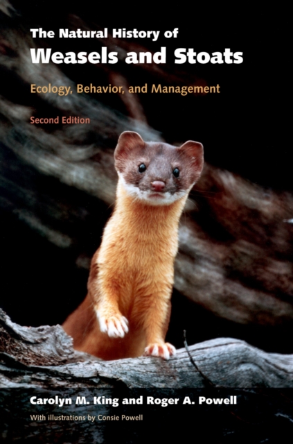 The Natural History of Weasels and Stoats : Ecology, Behavior, and Management, PDF eBook