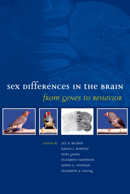 Sex Differences in the Brain : From Genes to Behavior, PDF eBook