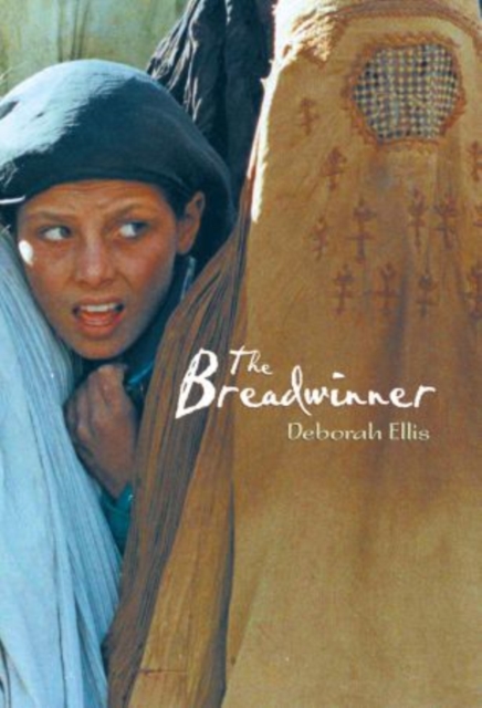 Rollercoasters: Breadwinner Reader, Part-work (fasciculo) Book