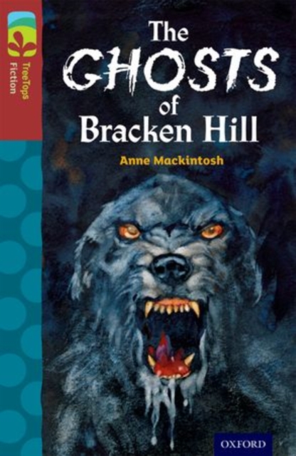 Oxford Reading Tree TreeTops Fiction: Level 15: The Ghosts of Bracken Hill, Paperback / softback Book