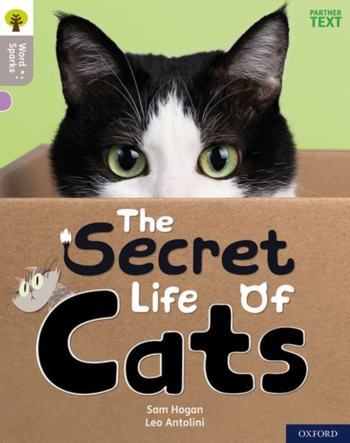 Oxford Reading Tree Word Sparks: Level 1: The Secret Life of Cats, Paperback / softback Book