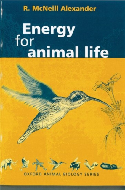 Energy for Animal Life, Hardback Book