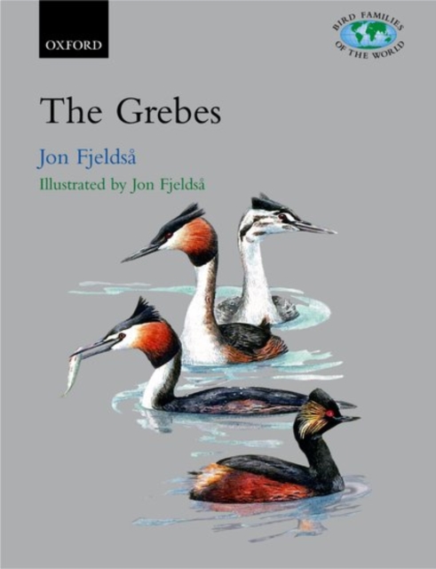 The Grebes : Podicipedidae, Hardback Book