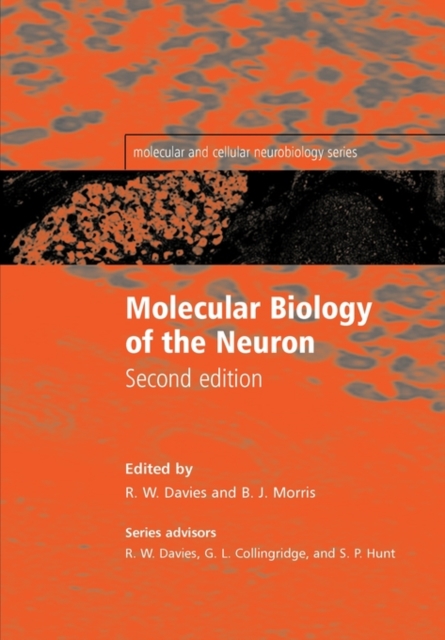 Molecular Biology of the Neuron, Paperback / softback Book