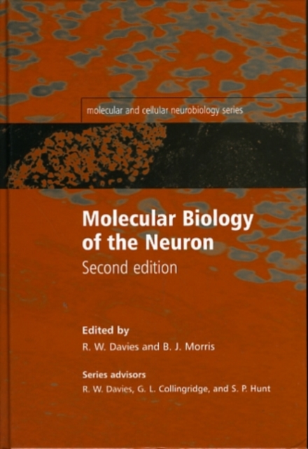Molecular Biology of the Neuron, Hardback Book