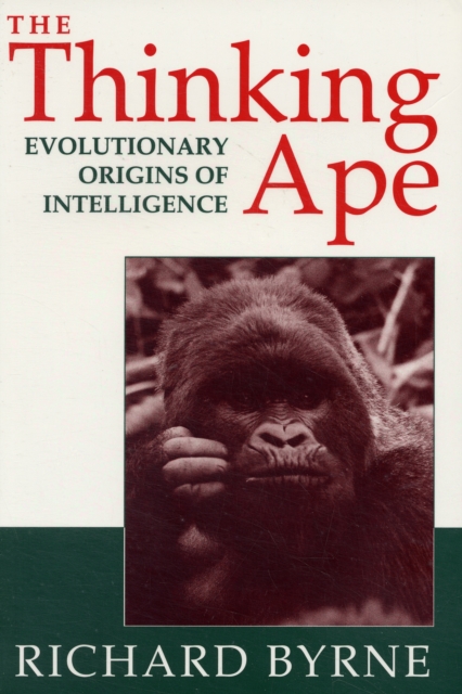 The Thinking Ape : Evolutionary Origins of Intelligence, Paperback / softback Book