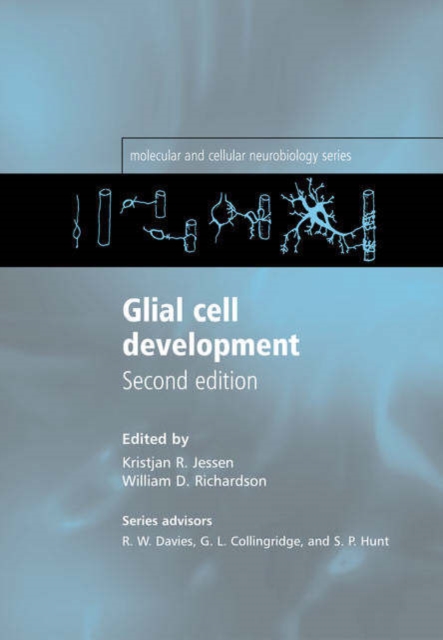 Glial Cell Development : Basic Principles and Clinical Relevance, Hardback Book