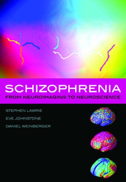 Schizophrenia : From neuroimaging to neuroscience, Hardback Book